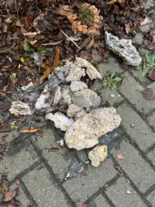 Tablettes de lave-vaisselle qui bouchent vos canalisations