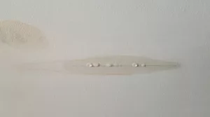 Eau qui coule du plafond - Plombier Bruxelles en urgence