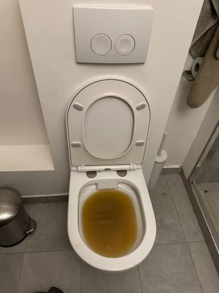 Cuvette de WC obstruée avant intervention à Etterbeek