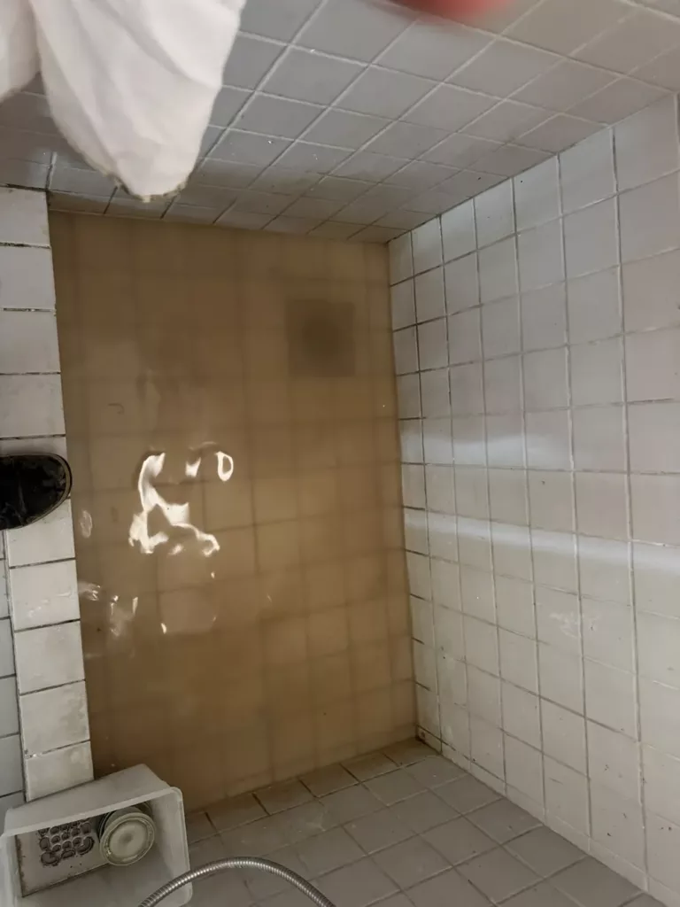 Douche à l'italienne après débouchage à Molenbeek-Saint-Jean