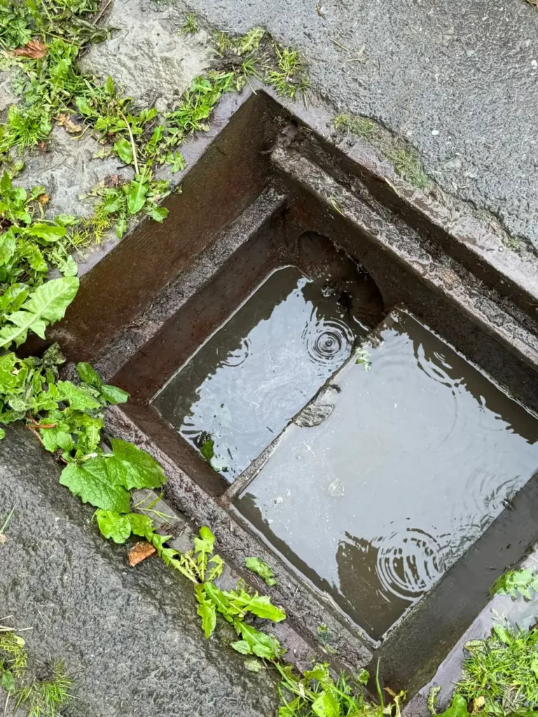 Regard extérieur d'une canalisation privative dans un jardin à Uccle