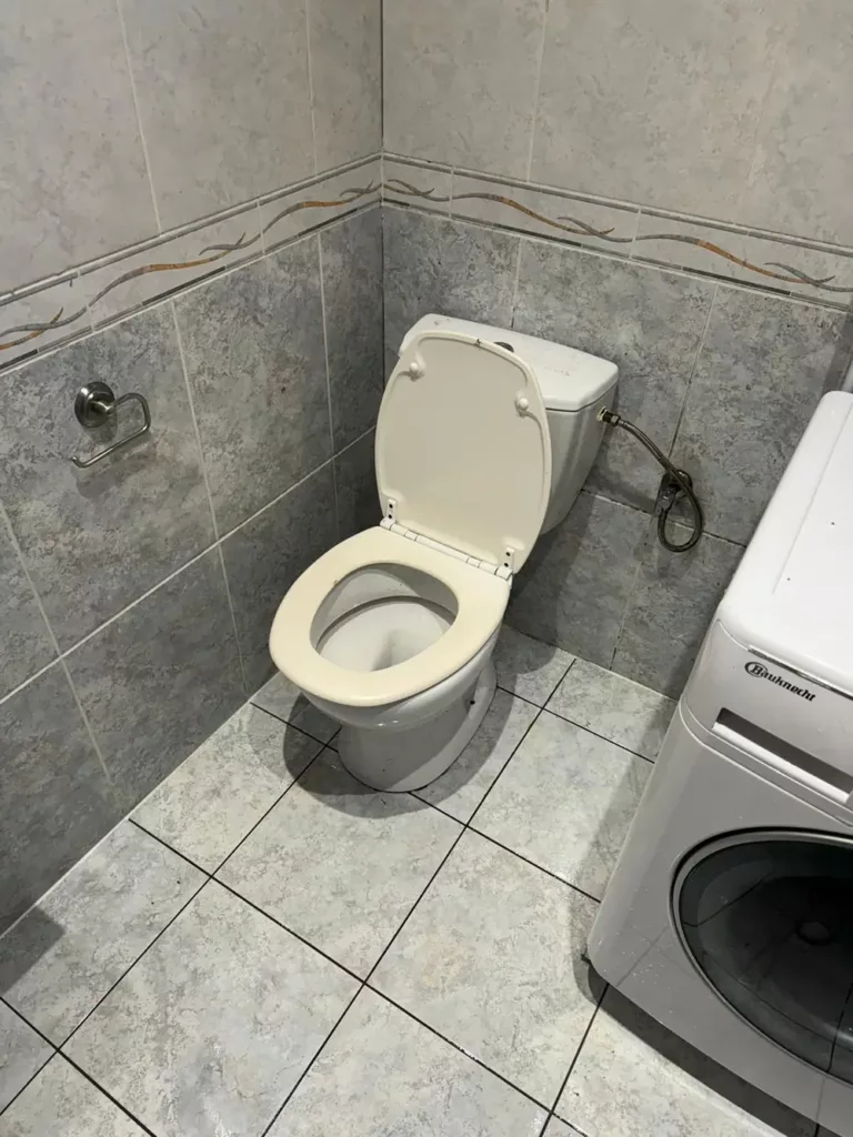 WC et raccordement de machine à laver dans une salle de bains à Ganshoren